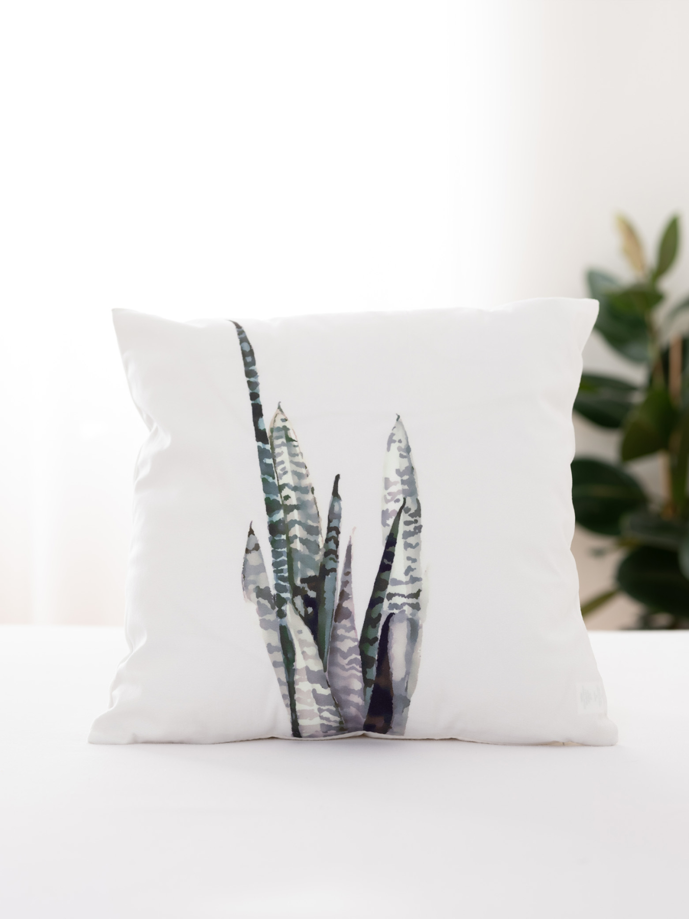 Povlak na polštář mikroplyš 45 × 45 cm - Olívie 2 | MKLuzkoviny.cz