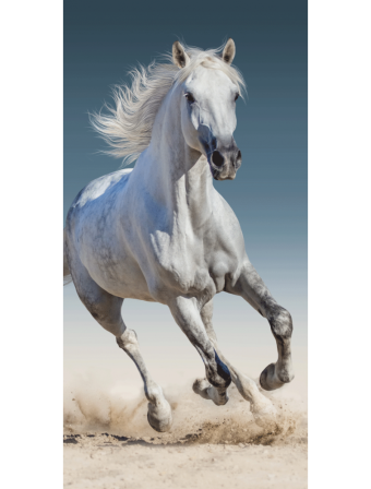 Dětská osuška 70 × 140 cm ‒ Kůň 03