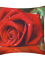 Povlak na polštářek 45x45cm - Colors Růže