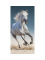 Dětská osuška 70 × 140 cm ‒ Horse 03