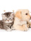 Dětská osuška 70 × 140 cm ‒ Koťátko a štěňátko