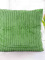 Obliečka na vankúšik mikroplyš 45 × 45 cm - Axel zelený