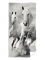 Detská osuška 70 × 140 cm ‒ Divé kone