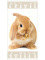Dětská osuška 70 × 140 cm ‒ Bunny Brown