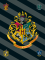 Fleecová deka 100 × 150 cm – Harry Potter HP067