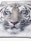 Deka mikroplyš 120 × 150 cm – White Tiger